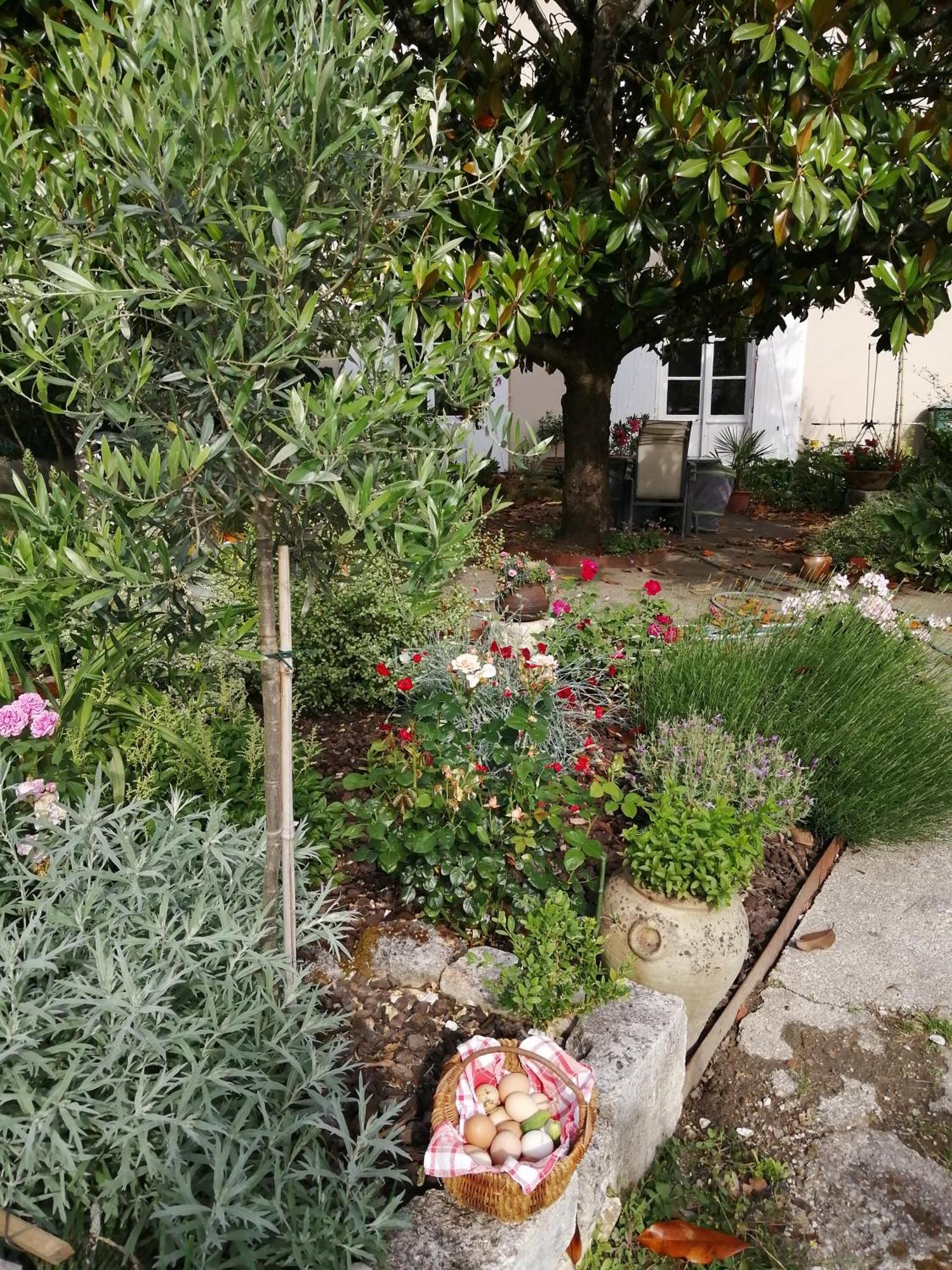 앙굴렘 Au Logis De Vechillot B&B 외부 사진