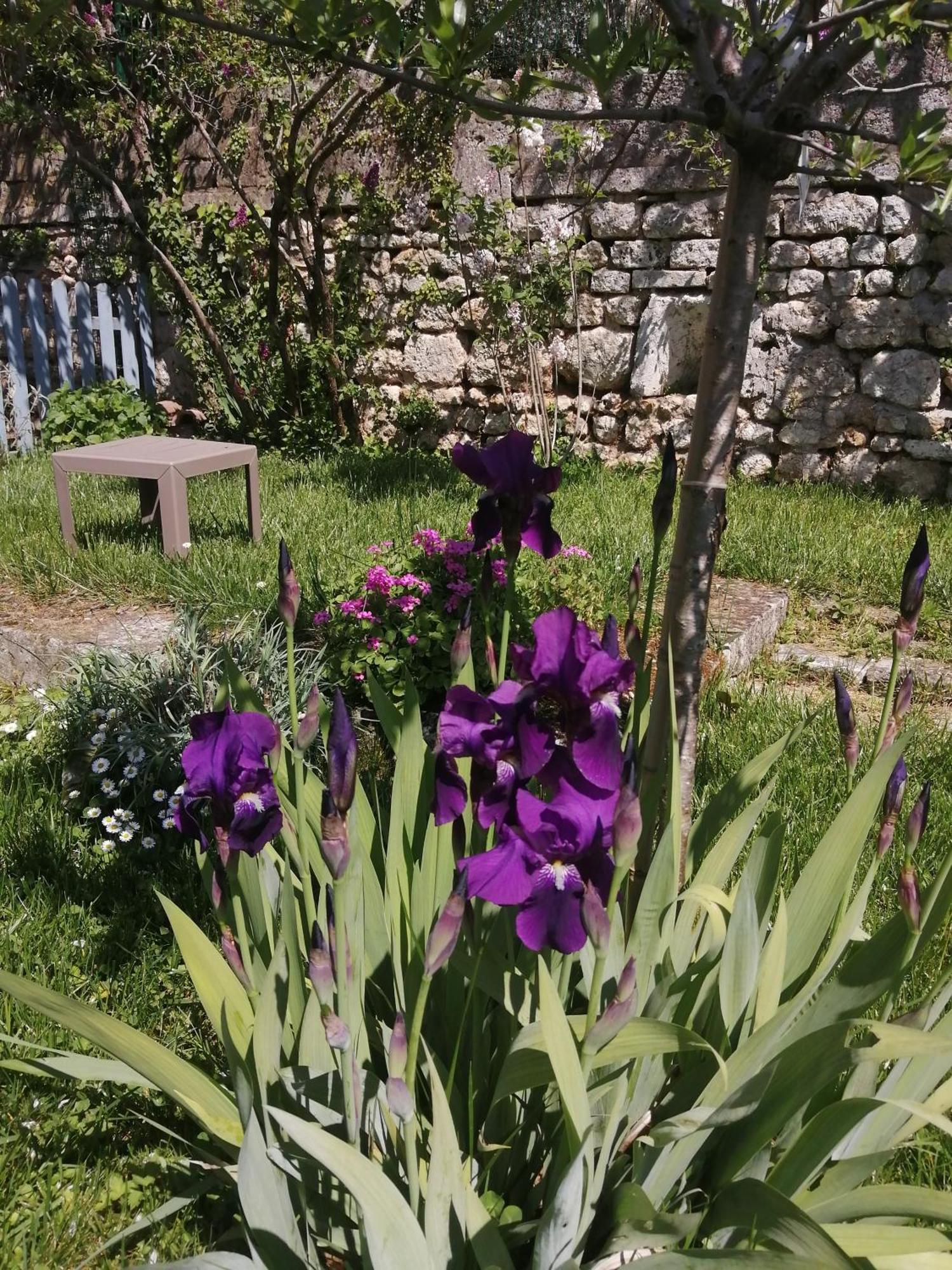 앙굴렘 Au Logis De Vechillot B&B 외부 사진
